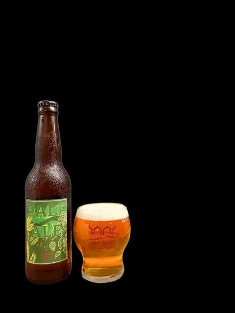 Pale Ale Nelson Sauvin